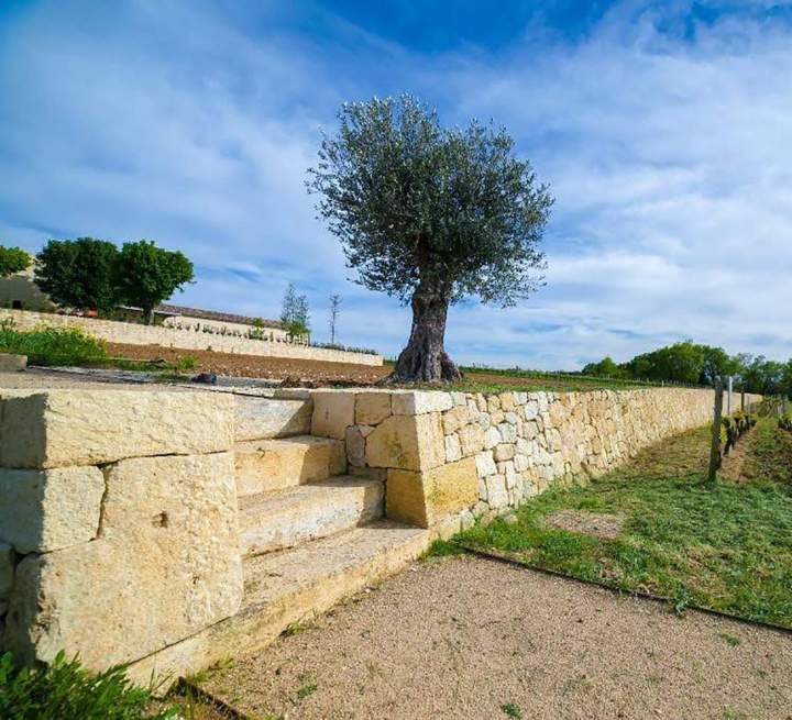 Mur de soutènement en pierres sèches Libourne